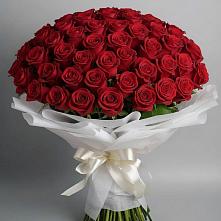 Букет 101 Красная роза Блэк Мэджик в Чердаклах