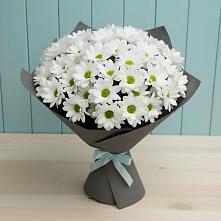 Букет цветов из:  Хризантемы #REPLACE_PRED# Чердаклах