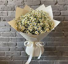 Букет цветов из:  Ромашки в Чердаклах