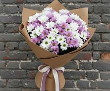 Букет цветов из:  Хризантемы #REPLACE_PRED# Чердаклах