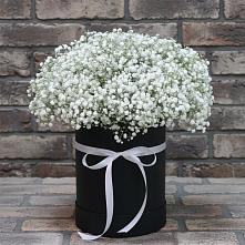 Цветочная композиция из Гипсофила в шляпной коробке #REPLACE_PRED# Чердаклах